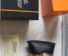 Boxed Ladies Telstar watch