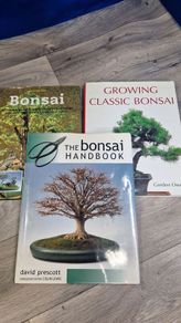 3 Bonsai Books