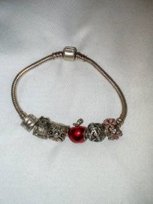 Pandora Bracelet with charms