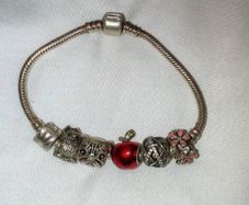 Pandora Bracelet with charms