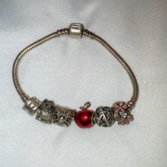 Pandora Bracelet with charms