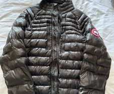 canada goose