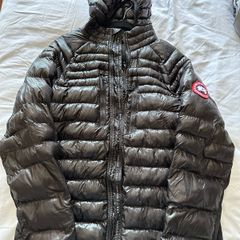 canada goose