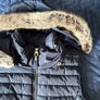 Joules Gilet (Size 8) Image 4