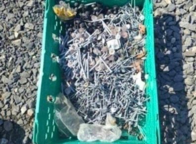 Shed Nails