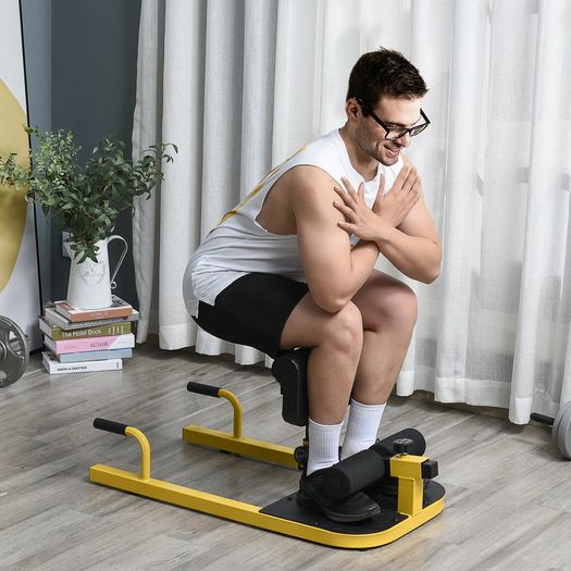 3-in-1 Sissy Squat Machine with Push Up Bars, Home Gym Work Out Leg Fitness Equipment