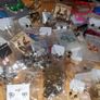 Job Lot 100 Pairs Brand New Earrings Wrapped Image 8