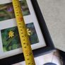 Framed Still Life Photo Of Irish Wildflowers. Image 6