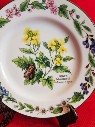 Royal Worcester Herbs Dinnerware , Set of two Rosemary and Black Mustard plates
