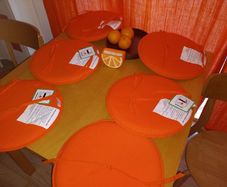 Indoor/outdoor chair pads