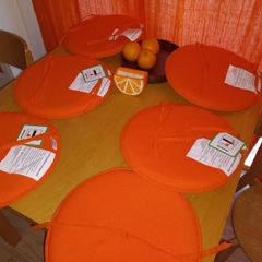 Indoor/outdoor chair pads