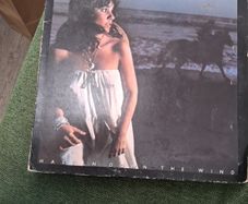 Linda Ronstadt Hasten Down The Wind LP Vinyl 1976