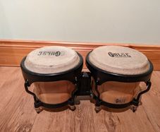 Bongos