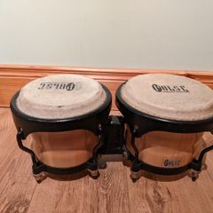 Bongos
