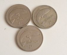 Irish florins