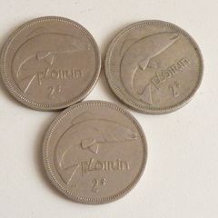 Irish florins