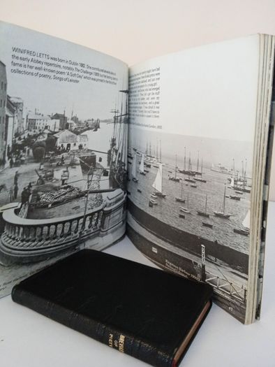 Dublin and Leinster: A Photographic Literary Record 1875-1925 by Art O'Broin and Sean McMahon (PT152)