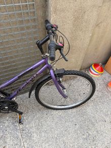 ladies bike