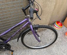 ladies bike