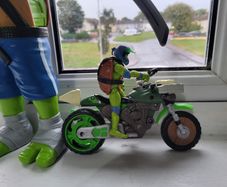 Ninja turtle
