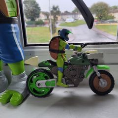Ninja turtle