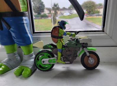 Ninja turtle