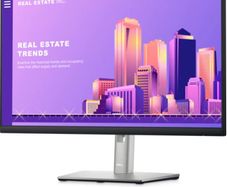 Dell 24 Inch FHD Computer Monitor - P2422H