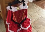 Mrs Clause/ santa girl costume