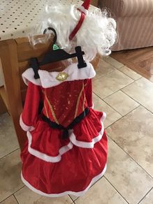 Mrs Clause/ santa girl costume