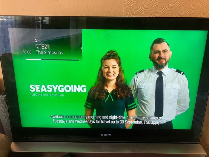 Sony Tv - 40 Inch Large Screen Not Smart