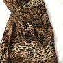 Leopard Print Dress Image 3