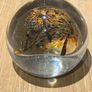 Art Glass Paperweight Image 7