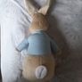 Peter Rabbit Image 2