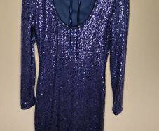 Sequin Festive Dress