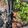 Cannondale Topstone Carbon Image 9