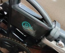 Electric Bike (Fildo D2s)