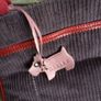 Radley London Handbag Image 4