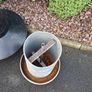 chicken feeders with hats Image 2