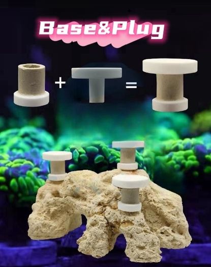 Ceramic Coral Mounting Plug Set
