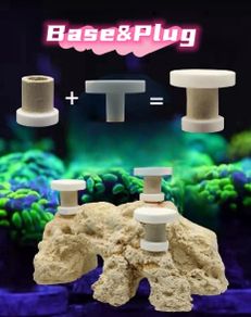 Ceramic Coral Mounting Plug Set