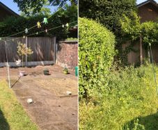 Property Maintenance