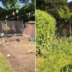 Property Maintenance