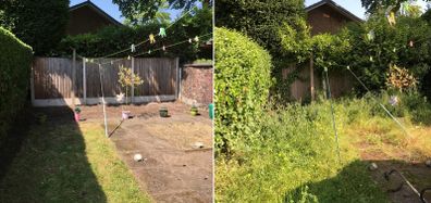 Property Maintenance