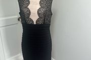 Mint Velvet Dress