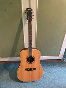 acoustic guitar