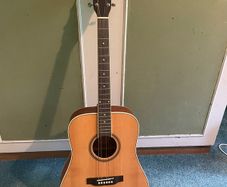 acoustic guitar