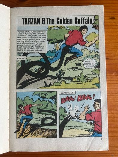 Comic: 'Tarzan Of The Apes'