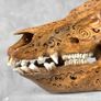 Authentic Hand Carved Wild Boar Skull - Bone Image 8