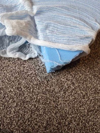 free upholstery foam