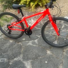 Ridgeback kids bikes